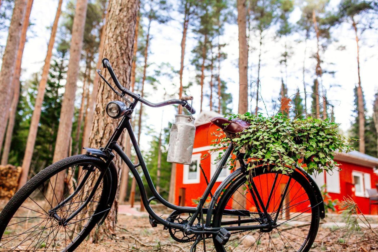 Waldhaus Emma Villa Suderburg Eksteriør bilde